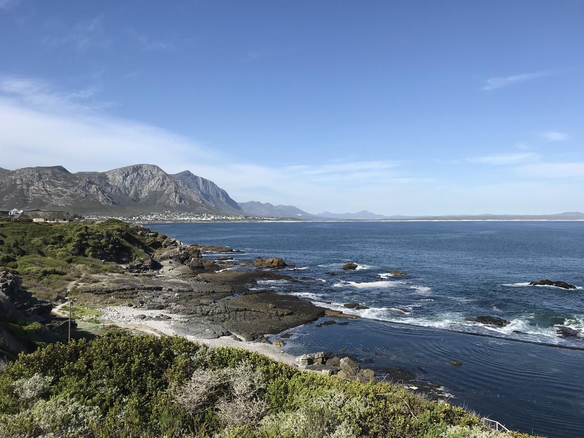 Francolin Manor Bed & Breakfast Hermanus Eksteriør bilde