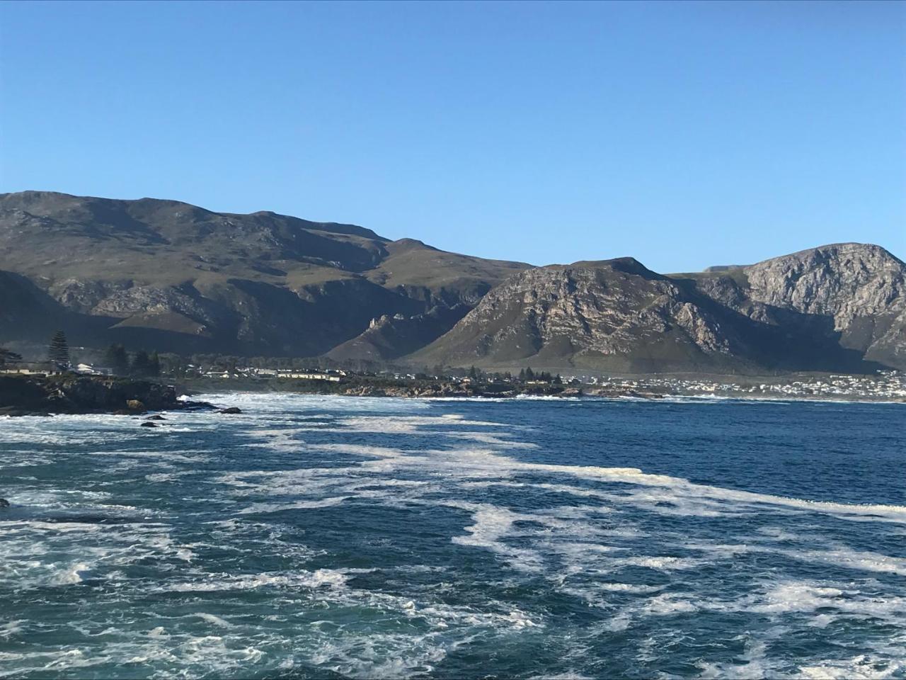 Francolin Manor Bed & Breakfast Hermanus Eksteriør bilde