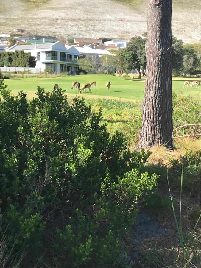 Francolin Manor Bed & Breakfast Hermanus Eksteriør bilde